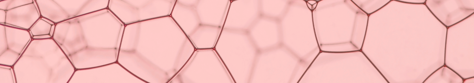 Euro chem cc